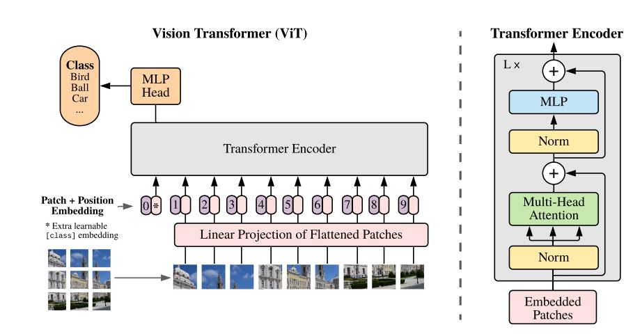 Diabetic_Retinopathy_Vision_Transformer