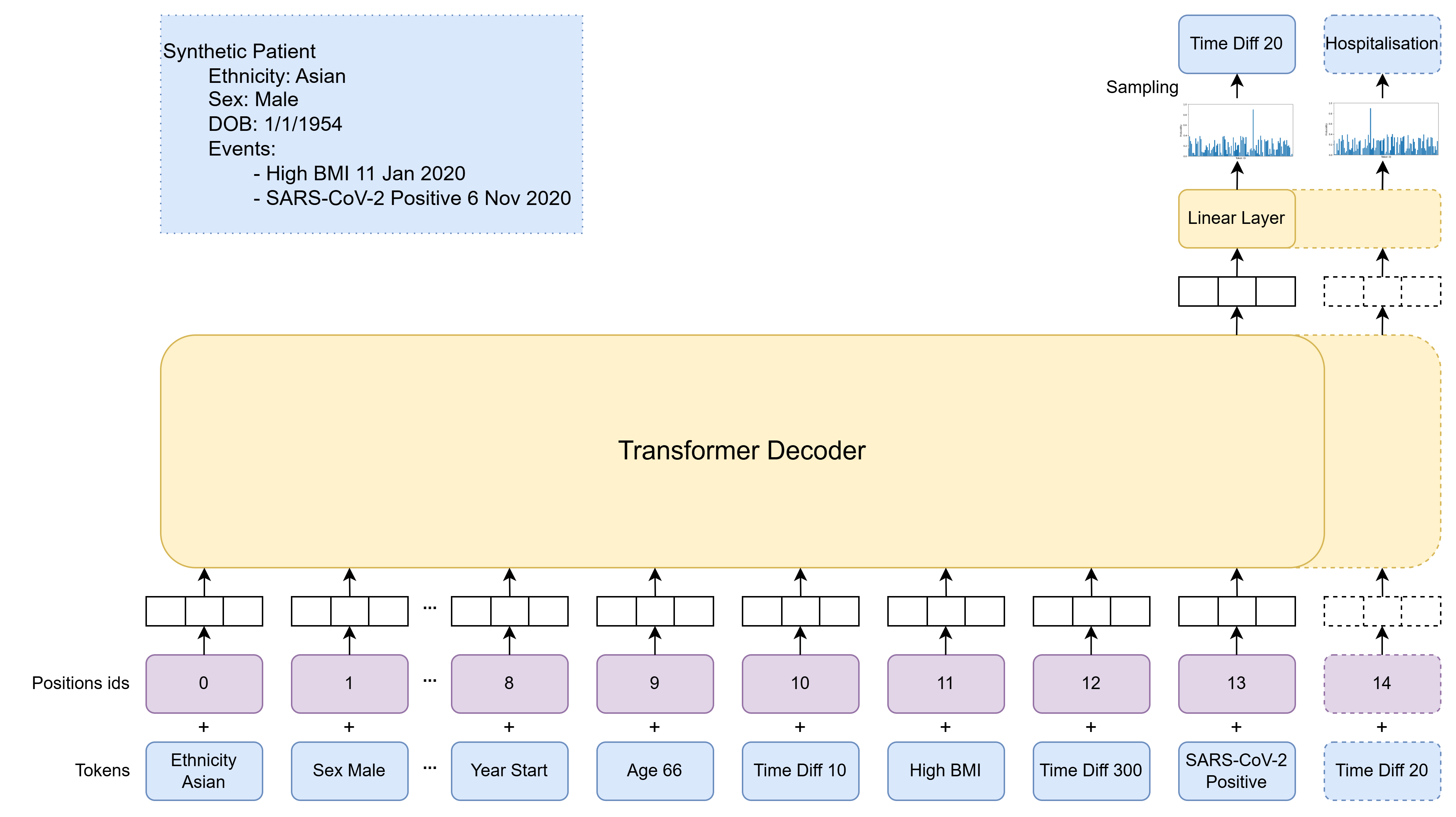 Foresight Model Inference